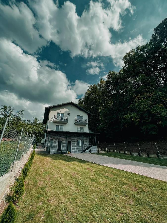 Casa Dumitru 2 Hotel Valea Borului Eksteriør billede